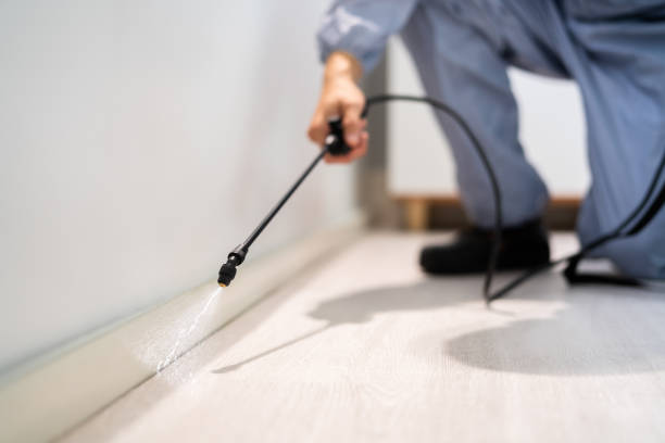Licensed Pest Control service in Vaughn, WA - Show Me Pest Control