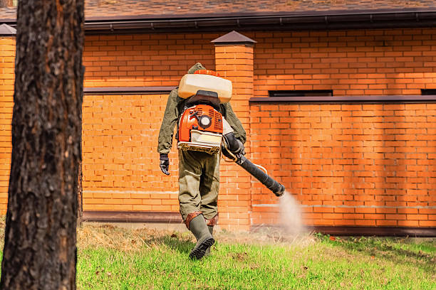 Bed Bug Clearance Verification and Documentation in Vaughn